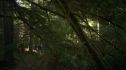 the100206_0345.jpg