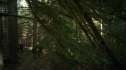 the100206_0348.jpg