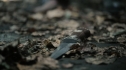 the100206_0491.jpg