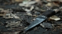 the100206_0495.jpg