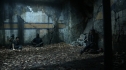 the100206_0521.jpg