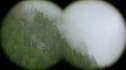the100206_0652.jpg