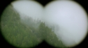 the100206_0653.jpg