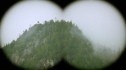 the100206_0665.jpg