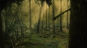 the100206_0739.jpg