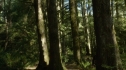 the100206_0750.jpg