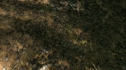 the100206_0772.jpg