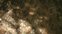 the100206_0773.jpg