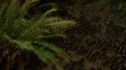 the100206_0795.jpg