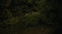 the100206_0802.jpg