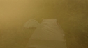the100206_0849.jpg