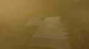 the100206_1183.jpg