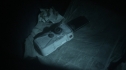 the100206_1283.jpg