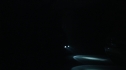 the100206_1320.jpg
