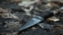 the100206_1395.jpg