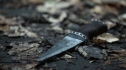 the100206_1396.jpg