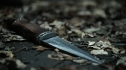 the100206_1447.jpg