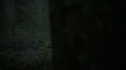 the100206_1735.jpg