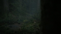 the100206_1736.jpg