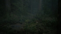 the100206_1737.jpg