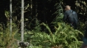 the100206_2002.jpg