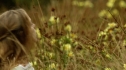 the100207_0012.jpg