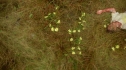 the100207_0135.jpg