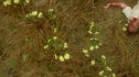 the100207_0136.jpg