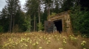the100207_1642.jpg