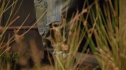 the100207_1651.jpg
