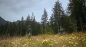 the100207_1706.jpg