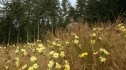 the100207_1709.jpg