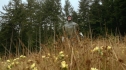 the100207_1711.jpg