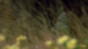 the100207_1843.jpg