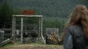the100208_0575.jpg