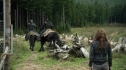 the100208_0595.jpg