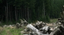 the100208_0602.jpg
