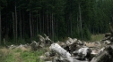 the100208_0603.jpg