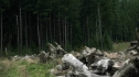 the100208_0604.jpg