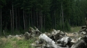 the100208_0606.jpg