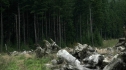 the100208_0607.jpg