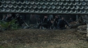 the100208_0934.jpg