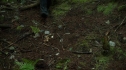 the100208_0997.jpg