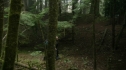 the100208_1007.jpg