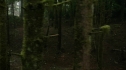 the100208_1010.jpg