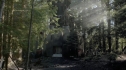 the100208_1045.jpg