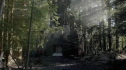 the100208_1046.jpg