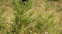 the100208_1206.jpg