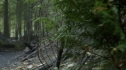 the100208_1612.jpg