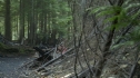 the100208_1613.jpg